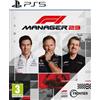 Don't Ask Why F1 Manager 2023