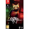 Skybound Stray