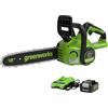 Greenworks GD24CS30K4 Motosega a Batteria con Motore Brushless, Lunghezza Barra 30cm, Velocità Catena 7,8m/s, Auto-Lubrificante, Anti Contraccolpi, Batteria 24V 4Ah e Caricabatterie, Garanzia 3 Anni