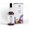 Australian Bush Flower Essences TRAVEL PETS Australian Bush Flower Essences