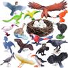 SIENON Set di 23 statuette per uccelli, giocattolo realistico per uccelli selvatici con nido, corvo, uccello kiwi, bouquet, arra, aquila dorata, giocattolo per bambini per torta di compleanno