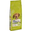 Dog Chow Purina Tonus Dog Chow Croccantini per Cani con Pollo 14 kg