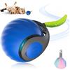 Jognee Speedy Tail, giocattolo per gatti, Smart Interactive Cat Ball per interni, giocattolo automatico per gatti, giocattolo auto-movimento, USB ricaricabile (blu)