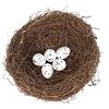 zalati Nido di Uccelli Artificiali 1 pz Nido di Uccello Simulato con 5 pz Uova Finte Artigianato Fatto a Mano per Pasqua Giardino Cortile Casa Decorazione Festa