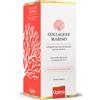 OPTIMA Collagene marino liquido 500ml
