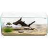 Aqpet Tortuga 50 Tartarughiera In Vetro Con Coperchio E Isola Per Tartarughe D'acqua 27L