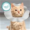 AqpetFriends Daisy Orange Collare Elisabettiano In Plastica Morbida Per Gatti con Design a Doppio Strato