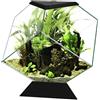 Askoll Ciano Nexus C5 Betta Life Acquario A Diamante Per Pesci Betta