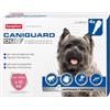 Beaphar CaniGuard Duo Antiparassitario per cani contro Pulci zecche e Zanzare