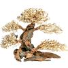 Aqpet Zen Bonsai Pine Legno Naturale Per Arredo In Acquario