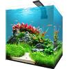 Aqpet Fresh Box 30 Acquario Dolce Completo