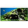 Askoll Ciano Aqua 60 Led Acquario In Vetro Completo 60x30x32h cm