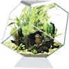Askoll Ciano Nexus C5 Betta Life Acquario A Diamante Per Pesci Betta