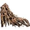 Aqpet Zen Bonsai Octopus Legno Naturale Per Arredo In Acquario
