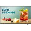 Samsung BE65FX-H TV Business Pro da 65 pollici