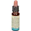 TESLA Armonic 29 Star Of Bethlem70gr