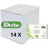 DERBE Offerta multipack Derbe salviette aloe vera 35 pz x 14 unità
