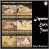 tarocchi giapponesi erotici vintage mazzo carte gioco kamasutra orientale antico