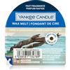 Yankee Candle Amber & Sandalwood 22 g