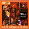 Nirvana - From The Muddy Banks Of The Wishkah (2xLP, Album, RE, 180)