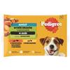 Pedigree In Salsa 4x100g Cibo Umido Per Cani Bocconcini Con Pollo E Con Manzo E Fegato