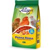 ALLEGRI' Allegrì Penna Rossa 400 G