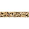 BIRD Canarini 5 Kg