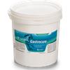 CANDIOLI s.r.l. Gastrocure Polvere 2,6kg