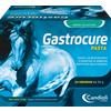 CANDIOLI s.r.l. Gastrocure Pasta 24 Siringhe Da 50g