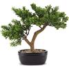 Henriette finto Bonsai cedro con vaso ceramica 35x31 h cm cod.D18962