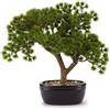 Henriette finto Bonsai pino con vaso ceramica 36x30 cm cod.D18963