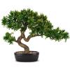 Henriette finto Bonsai tasso con vaso ceramica 50x43 h cm cod.D18964
