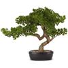 Henriette finto Bonsai pino con vaso ceramica 56x43 cm cod.D18965