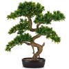 Henriette finto Bonsai tasso con vaso ceramica 62x71 h cm cod.D18966
