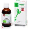 FITOMEDICAL SRL TIGLIO MACERATO GLICERICO 50 ML BIO