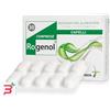 SANITPHARMA Srl ROGENOL 30 COMPRESSE DA 1050 MG