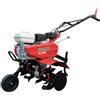 Benassi BL 6000 - Motozappa a Scoppio 6.6 HP - Motore Honda GX 160