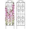 Thealyn Garden Trellis 2 Pack - 203 cm H x 56 cm W - Graticcio per Piante Pesante per Piante Rampicanti in Metallo Adatto al Supporto di Piante Rampicanti all'Aperto, Rose, Verdure, Viti e Fiori