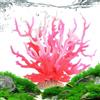 Generico Decorazioni in Finto Corallo,di Corallo Artificiale realistici - Scultura di simulata 6,7x2,6x5,5 Pollici, Piante Marine subacquee dai Colori Vivaci per Soggiorno Domestico, Festa a Tema