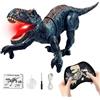 KBIBCK Giocattolo di dinosauro telecomandato, 2.4 GHz, elettronica T-Rex Dino, giocattolo con spray, luce, ruggito, movimenti realistici di camminata, giocattolo per bambini per ragazzi e ragazze dai