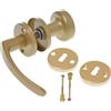Aqbau? Maniglia per porta con manopola e rosetta BB | Pomello per porta | Pomello per porta | Pomello (oro)