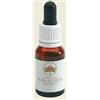 RED GREVILLEA AUSTR 15ML GTT