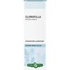 ERBA VITA CLOROFILLA Soluzione Idroalcolica. 50ml