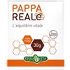 Pappa Reale Fresca 30 g