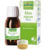 LABORATOIRES BOIRON Srl BOIRON RIBES NIGRUM GEMME MACERATO GLICERICO 60 ML