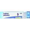 Boiron Ledum Palustre 9CH 80 Granuli contenitore multidose 4G