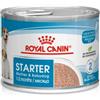Royal Canin KIT 12x Royal Canine Starter Mousse per Cani - 195 g, 12 pezzi - PREZZO A CONFEZIONE
