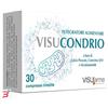 VISUFARMA SPA VISUCONDRIO 30 COMPRESSE