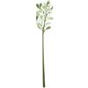 Vesta FUNNY FLOWERS- Fiore in plexiglass Vischio grande