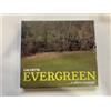 CD CALCUTTA EVERGREEN E ALTRE CANZONI 2 CD NUOVO E SIGILLATO